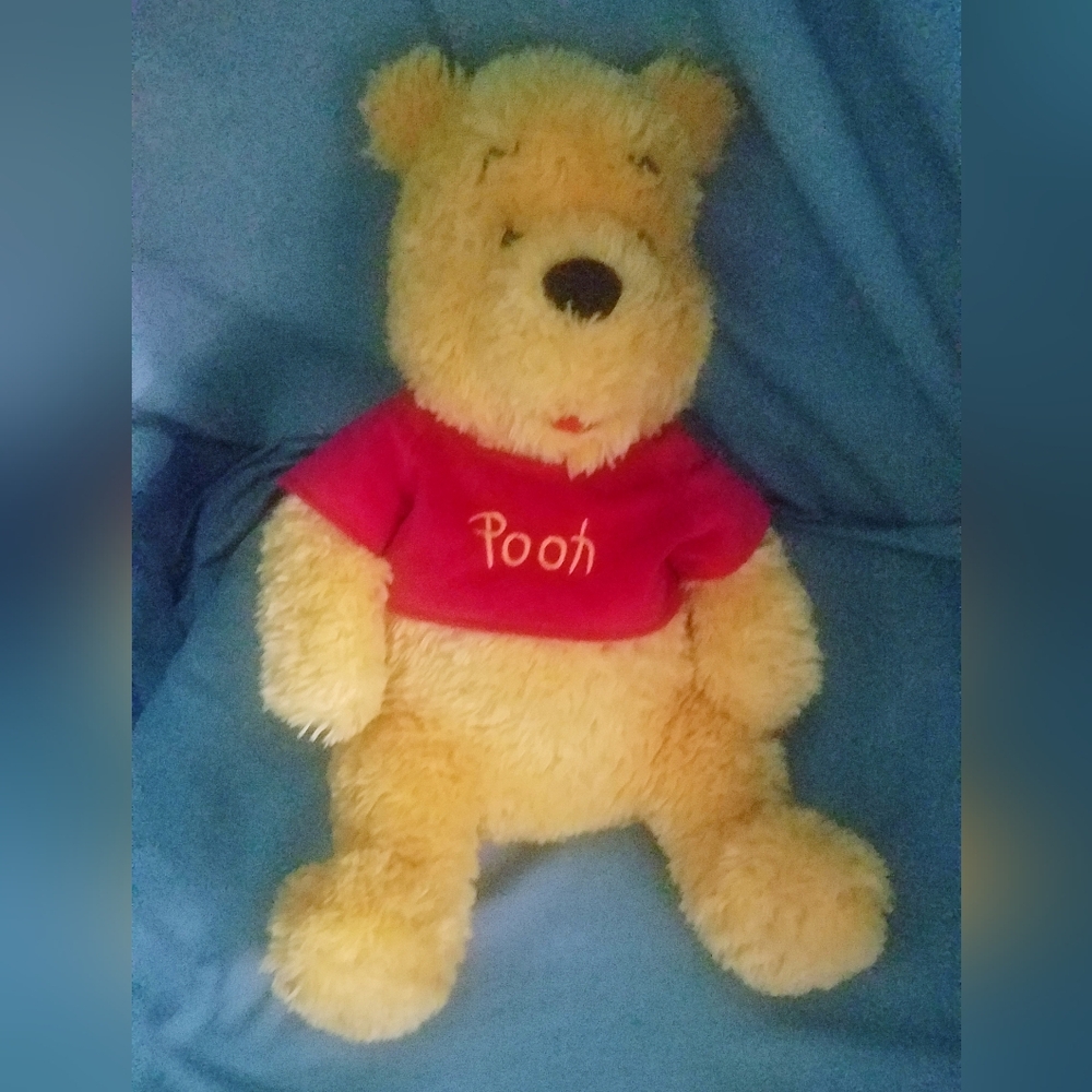 Walt Disneryworld 14" Winnie the Pooh Bear  Plush Stuffed Animal VVG Condition